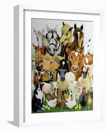 Animal Allsorts-Pat Scott-Framed Giclee Print