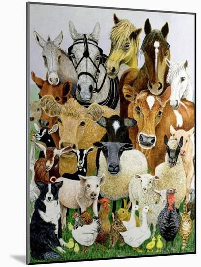 Animal Allsorts-Pat Scott-Mounted Giclee Print