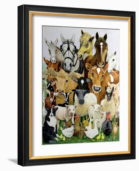 Animal Allsorts-Pat Scott-Framed Giclee Print