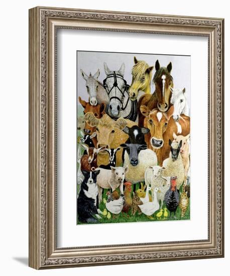 Animal Allsorts-Pat Scott-Framed Giclee Print