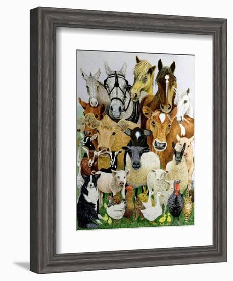 Animal Allsorts-Pat Scott-Framed Giclee Print