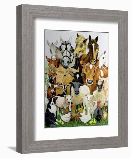 Animal Allsorts-Pat Scott-Framed Giclee Print