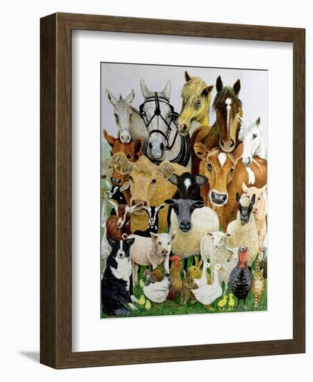 Animal Allsorts-Pat Scott-Framed Giclee Print