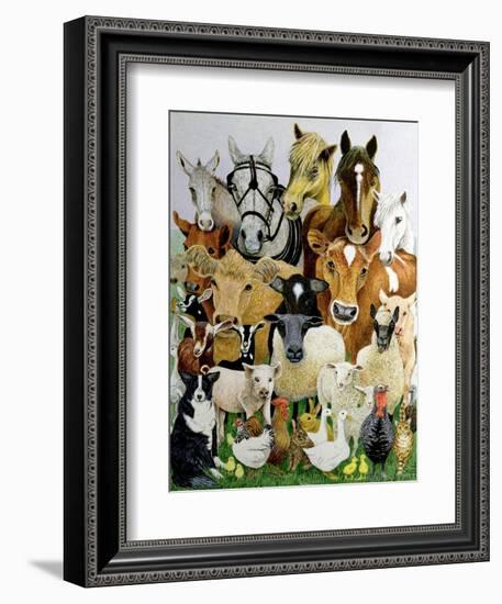 Animal Allsorts-Pat Scott-Framed Giclee Print