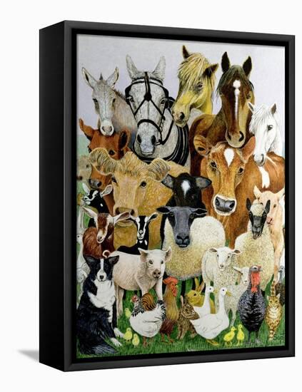 Animal Allsorts-Pat Scott-Framed Premier Image Canvas