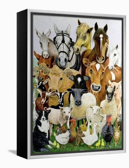 Animal Allsorts-Pat Scott-Framed Premier Image Canvas