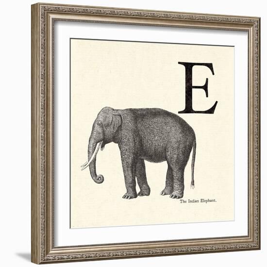 Animal Alphabet - E-The Vintage Collection-Framed Giclee Print