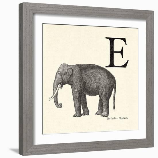 Animal Alphabet - E-The Vintage Collection-Framed Giclee Print