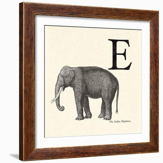 Animal Alphabet - E-The Vintage Collection-Framed Giclee Print