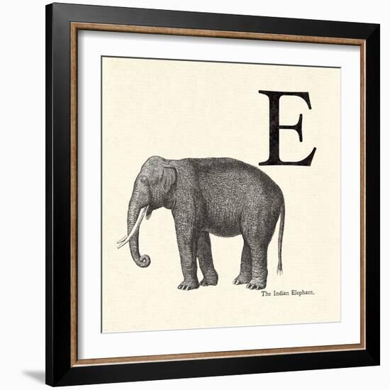 Animal Alphabet - E-The Vintage Collection-Framed Giclee Print