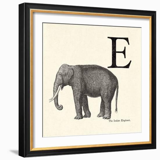 Animal Alphabet - E-The Vintage Collection-Framed Giclee Print