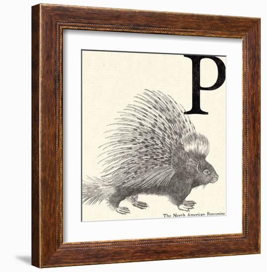 Animal Alphabet - P-The Vintage Collection-Framed Giclee Print