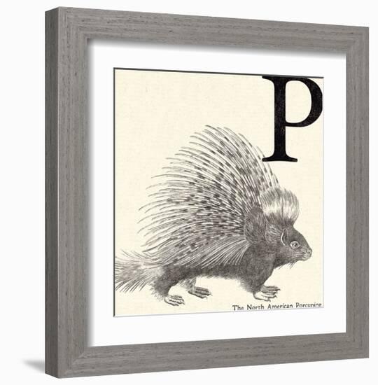 Animal Alphabet - P-The Vintage Collection-Framed Giclee Print