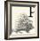 Animal Alphabet - P-The Vintage Collection-Framed Giclee Print