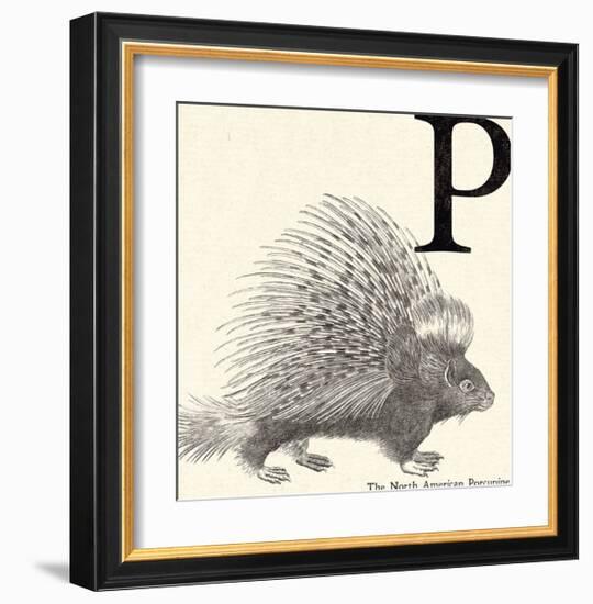 Animal Alphabet - P-The Vintage Collection-Framed Giclee Print