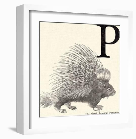 Animal Alphabet - P-The Vintage Collection-Framed Giclee Print