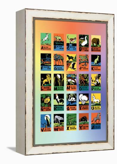 Animal Alphabet-Charles Buckles Falls-Framed Stretched Canvas