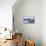 Animal Canoe-Nancy Tillman-Mounted Premium Giclee Print displayed on a wall