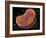 Animal Cell-Spencer Sutton-Framed Giclee Print