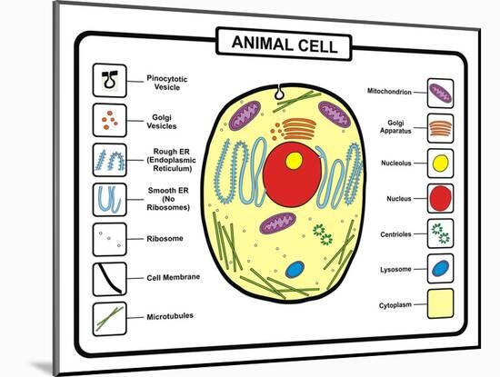 Animal Cell-udaix-Mounted Art Print