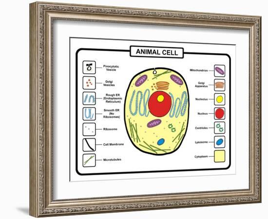 Animal Cell-udaix-Framed Art Print