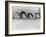 Animal Crackers, Zeppo Marx, Harpo Marx, Chico Marx, Groucho Marx, 1930-null-Framed Photo