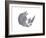 Animal Head Hippo-Neeti Goswami-Framed Art Print