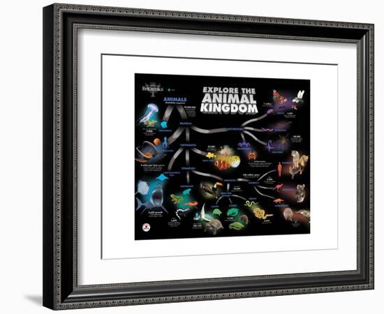 Animal Kingdom Chain of Survival-Encyclopaedia Britannica-Framed Art Print