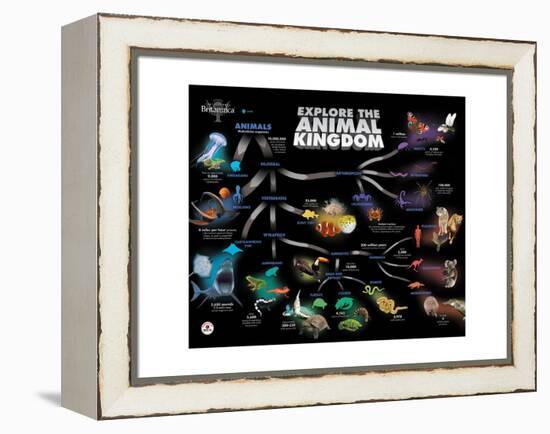 Animal Kingdom Chain of Survival-Encyclopaedia Britannica-Framed Stretched Canvas