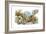 Animal Kingdom-Tim Knepp-Framed Giclee Print