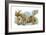 Animal Kingdom-Tim Knepp-Framed Giclee Print