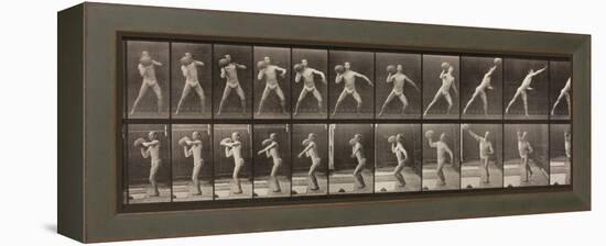 Animal Locomotion, Plate 319, 1887-Eadweard Muybridge-Framed Premier Image Canvas