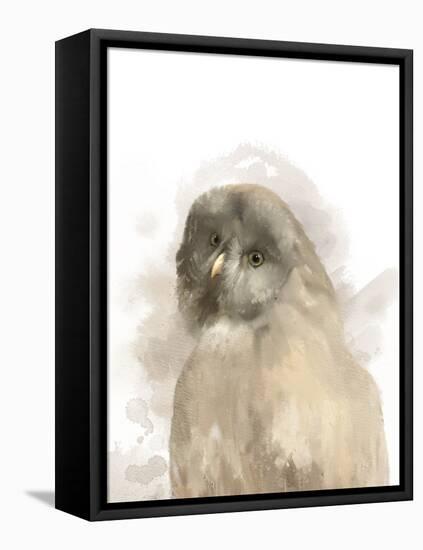 Animal Owl-Matthew Piotrowicz-Framed Stretched Canvas