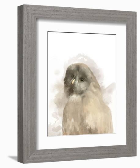 Animal Owl-Matthew Piotrowicz-Framed Art Print