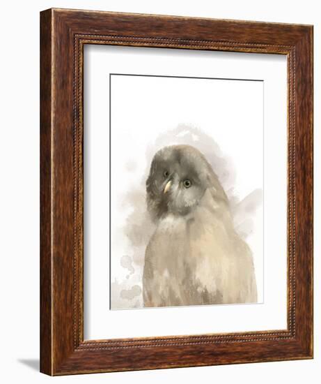 Animal Owl-Matthew Piotrowicz-Framed Art Print