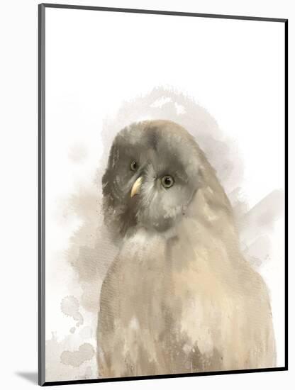 Animal Owl-Matthew Piotrowicz-Mounted Art Print