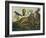 Animal Painting (Lion)-Hans Hoffmann-Framed Giclee Print