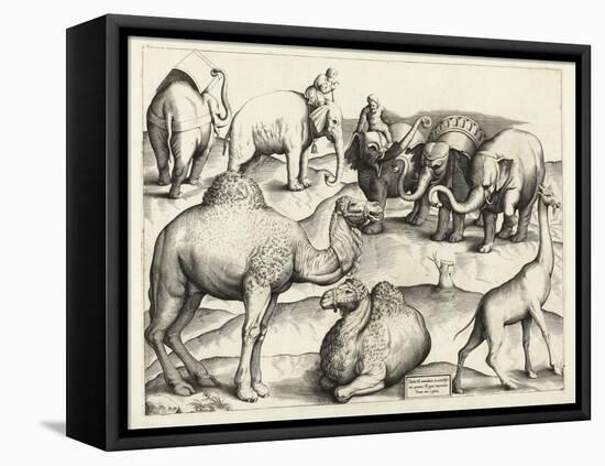 Animal Paintings from Ancient Rome, Table, 3., Pub. Antonio Lafrere 1528 (Engraving)-Italian School-Framed Premier Image Canvas