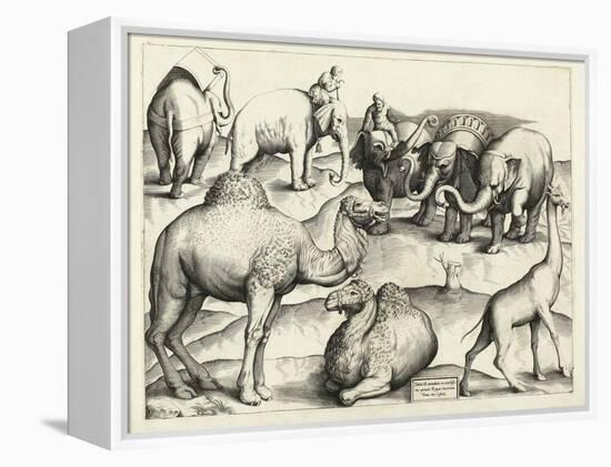 Animal Paintings from Ancient Rome, Table, 3., Pub. Antonio Lafrere 1528 (Engraving)-Italian School-Framed Premier Image Canvas