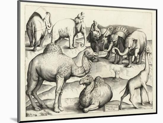 Animal Paintings from Ancient Rome, Table, 3., Pub. Antonio Lafrere 1528 (Engraving)-Italian School-Mounted Giclee Print