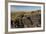 Animal Petroglyphs Between 5-Inaki Relanzon-Framed Photographic Print