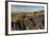 Animal Petroglyphs Between 5-Inaki Relanzon-Framed Photographic Print