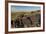 Animal Petroglyphs Between 5-Inaki Relanzon-Framed Photographic Print