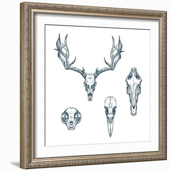 Animal Scull Set Deer Horse Cat Crow-Ptich-ya-Framed Premium Giclee Print