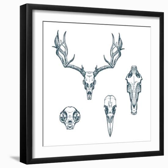 Animal Scull Set Deer Horse Cat Crow-Ptich-ya-Framed Premium Giclee Print