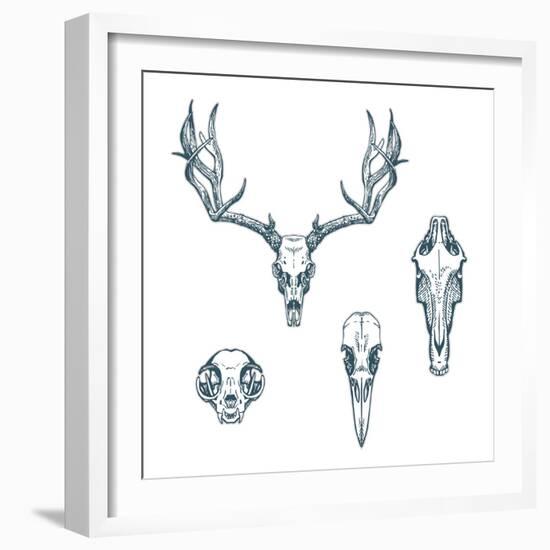 Animal Scull Set Deer Horse Cat Crow-Ptich-ya-Framed Premium Giclee Print