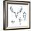 Animal Scull Set Deer Horse Cat Crow-Ptich-ya-Framed Premium Giclee Print