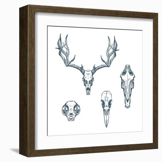 Animal Scull Set Deer Horse Cat Crow-Ptich-ya-Framed Art Print