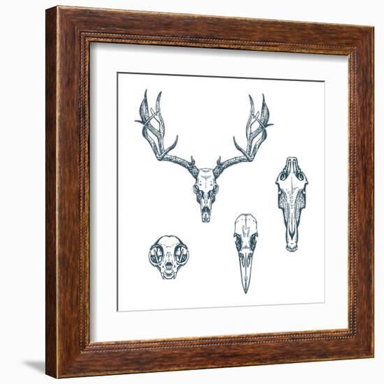 Animal Scull Set Deer Horse Cat Crow-Ptich-ya-Framed Art Print