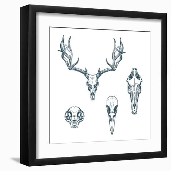 Animal Scull Set Deer Horse Cat Crow-Ptich-ya-Framed Art Print